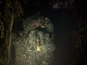 Screamfest Burton Review ()