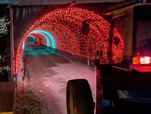 Spooky World Review ()