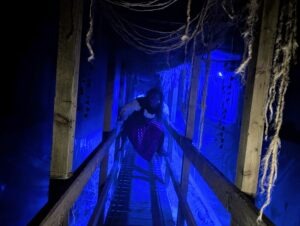 Spooky World Review ()