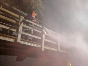 Spooky World Review ()