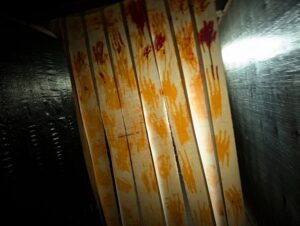 Spooky World Review ()