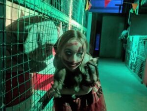 Spooky World Review ()