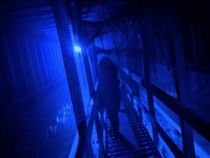 Spooky World Review ()