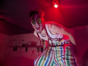 The Howl Review ()