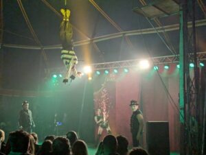 The Howl Review ()
