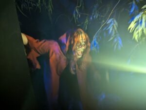 The Howl Review ()