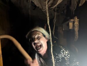 The Howl Review ()