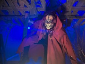 The Howl Review ()