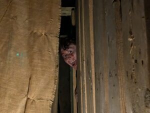 The Howl Review ()