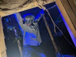 The Howl Review ()