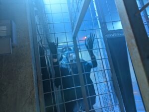 Thorpe Park Fright Nights ()