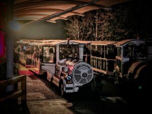 Trail of Terror at Colchester Zoo Review ()