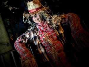 Trail of Terror at Colchester Zoo Review ()