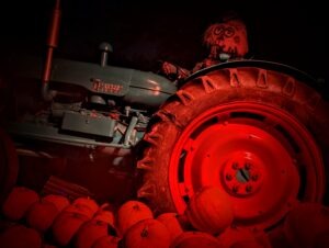 Trail of Terror at Colchester Zoo Review ()