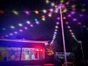 Trail of Terror at Colchester Zoo Review ()