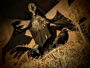 Trail of Terror at Colchester Zoo Review ()