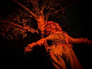 Trail of Terror at Colchester Zoo Review ()