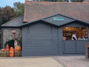 Twisted Pumpkin Review ()