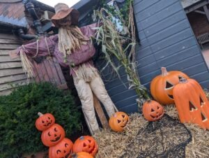 Twisted Pumpkin Review ()