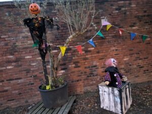 Twisted Pumpkin Review ()