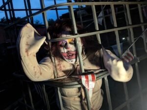 Twisted Pumpkin Review ()