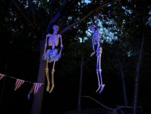 Twisted Pumpkin Review ()