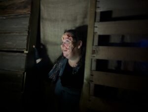 York Hallowscream ()