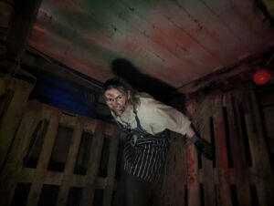 York Hallowscream ()