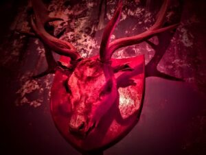 After Dark at House of Frankenstein Review ()