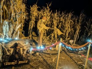 Cardiff Halloween Festival Review ()