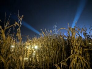 Cardiff Halloween Festival Review ()