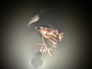 Luna Springs MELTDOWN Review ()