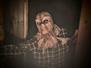 Stourbridge Scare Maze Review ()