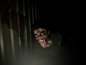 Stourbridge Scare Maze Review ()