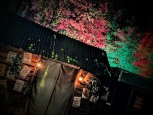The Curse of Bermuda Falls Review ()