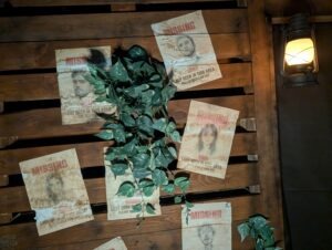 The Curse of Bermuda Falls Review ()