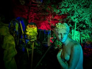 The Curse of Bermuda Falls Review ()