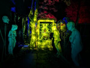 The Curse of Bermuda Falls Review ()