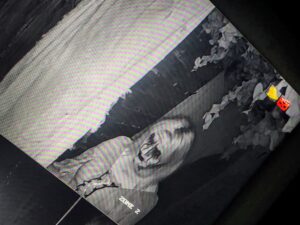 Walsall Scare Maze Review ()
