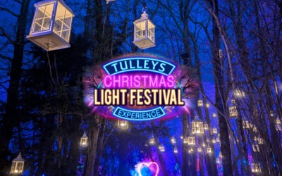Tulleys Christmas Light Festival 2024 Review