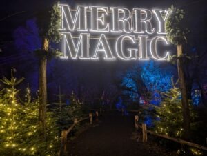 Tulleys Christmas Lights Festival Review ()
