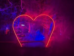 Tulleys Christmas Lights Festival Review ()