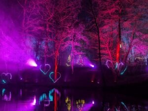 Tulleys Christmas Lights Festival Review ()