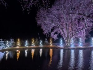 Tulleys Christmas Lights Festival Review ()
