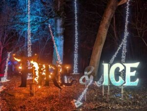 Tulleys Christmas Lights Festival Review ()