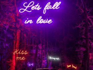 Tulleys Christmas Lights Festival Review ()