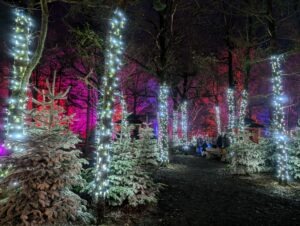 Tulleys Christmas Lights Festival Review ()