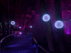 Tulleys Christmas Lights Festival Review ()
