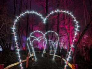 Tulleys Christmas Lights Festival Review ()