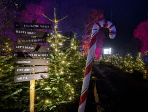 Tulleys Christmas Lights Festival Review ()